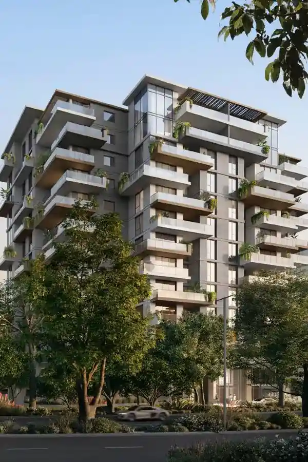 Lacina 3 Ghaf Woods 2