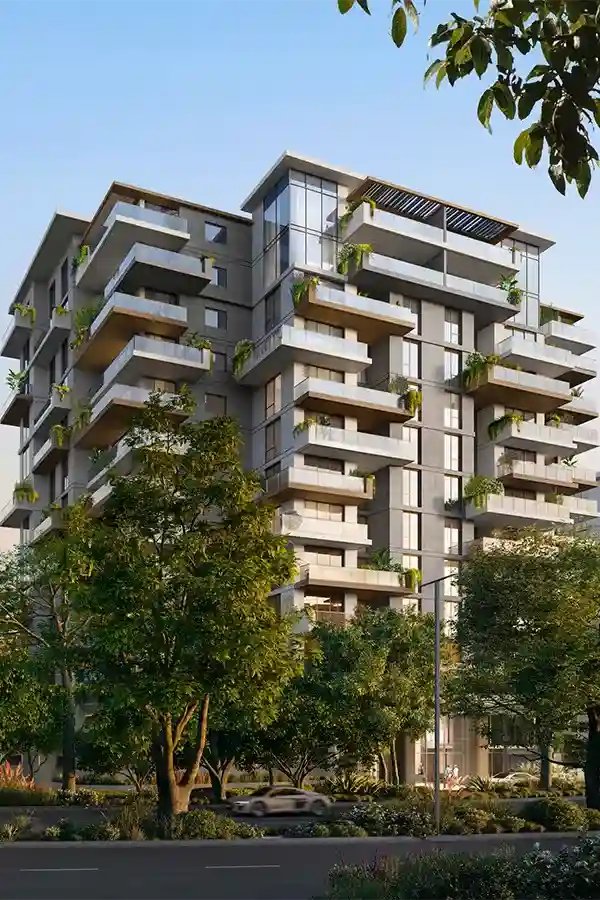 Lacina 2 Ghaf Woods 2