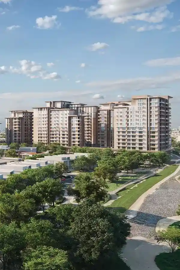 Dana Expo Valley Views