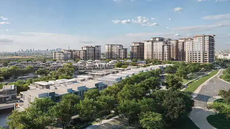 Dana Expo Valley Views