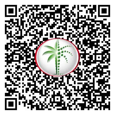 The Grand QR Code