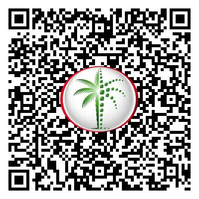 One Palm QR Code